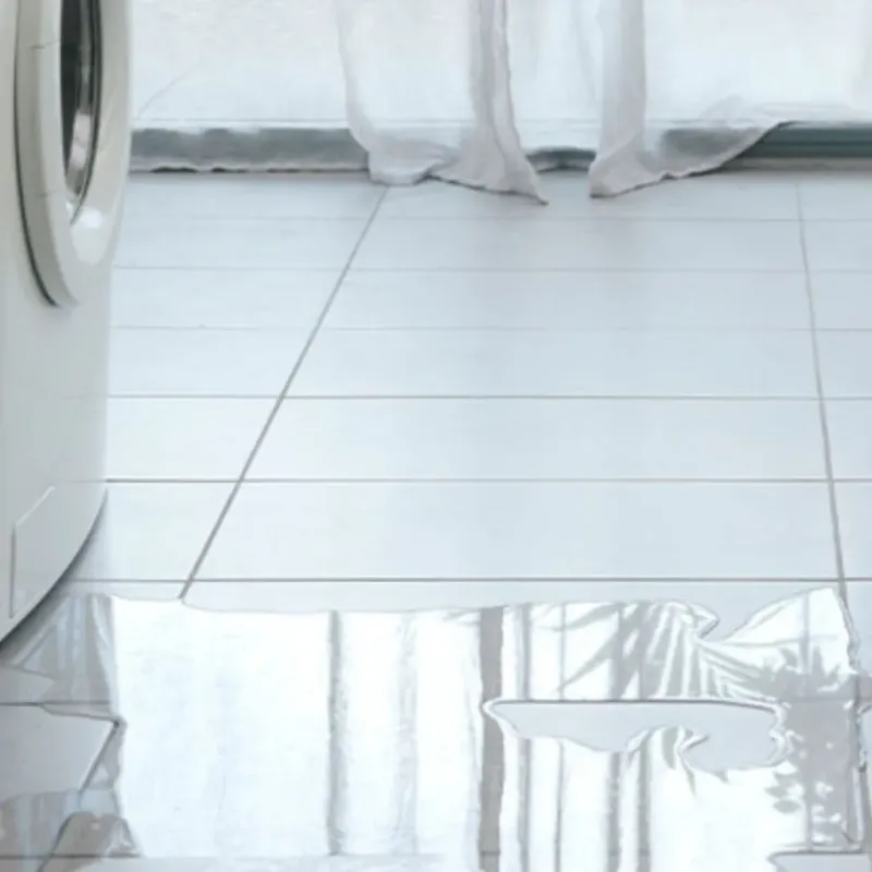 Appliance Leak Cleanup in Kent County, MI