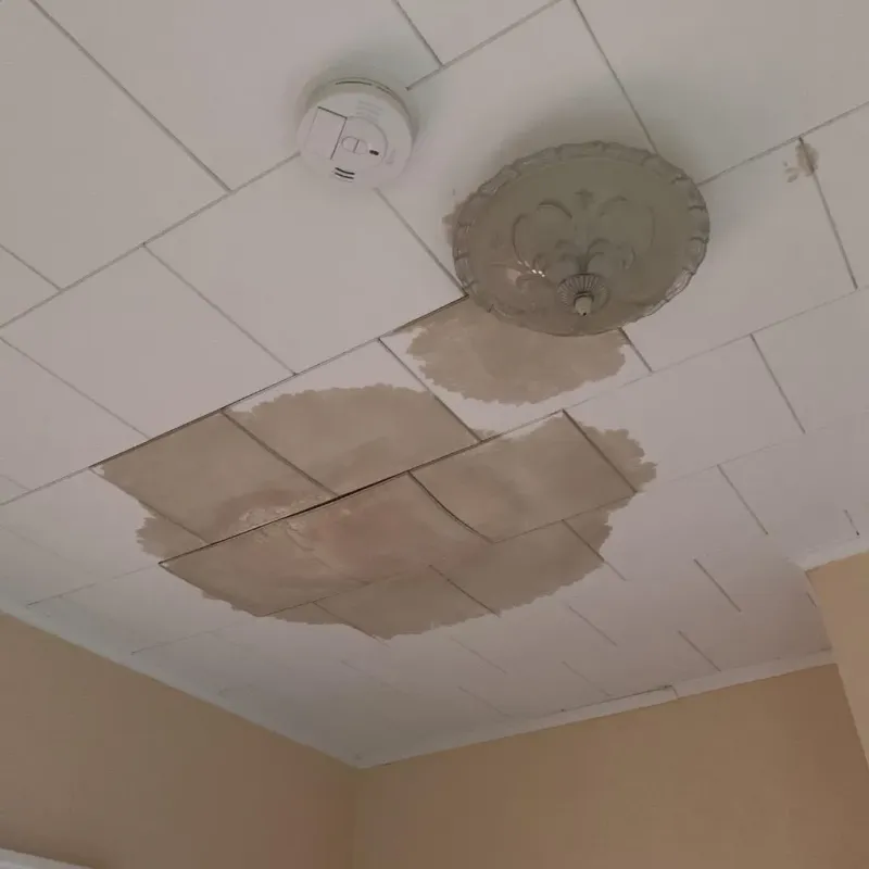 Ceiling Water Damage Repair in Kent County, MI