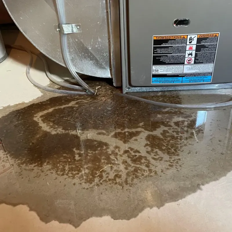 Pipe Burst and Leak Restoration in Kent County, MI